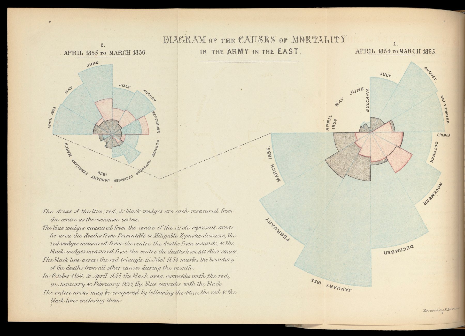 Deux diagrammes circulaires comparent les causes de mortalité de l'armée britannique en Orient, mois par mois, d'avril 1854 à mars 1856. Les surfaces bleues, rouges et noires partent du centre et changent selon le mois.